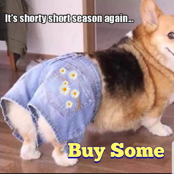 GO LIKE GAME #6 - Picture 6 of 14